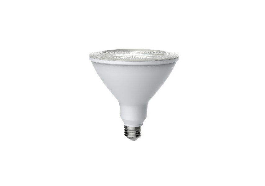 LED Lamp PAR38