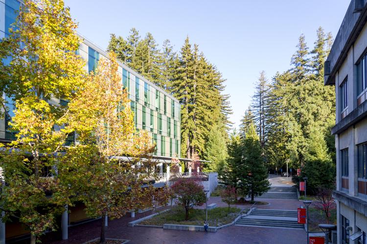 College campus walkway